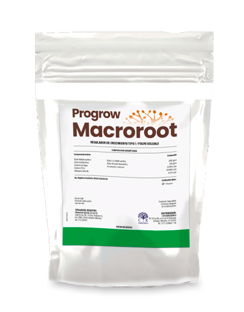 Imagen de Macroroot